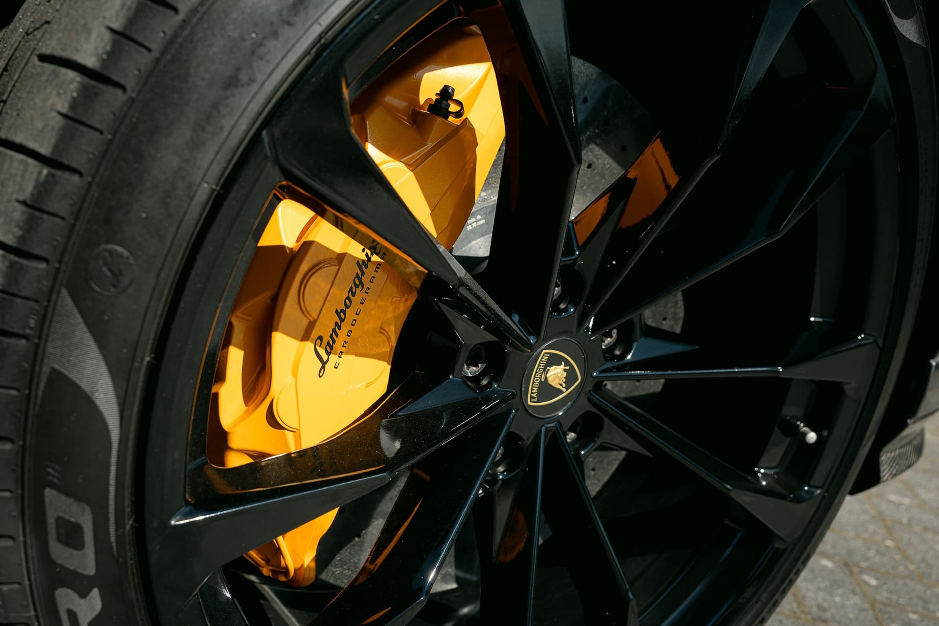 Customize uw exclusive