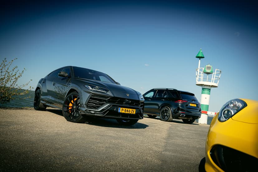 Urus op de dijk